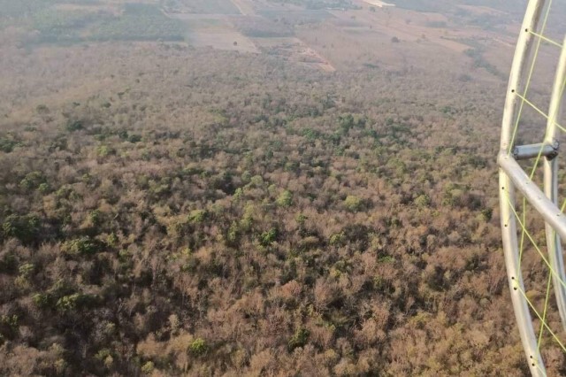 ทีมร่มบินปูพรม-ค้นหาป้าวัย 68 ปีหลงป่า