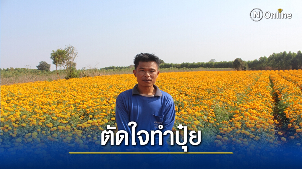 ขาดทุนหลักแสน พิษโควิด 19 ทำดาวเรืองราคาตกวูบ