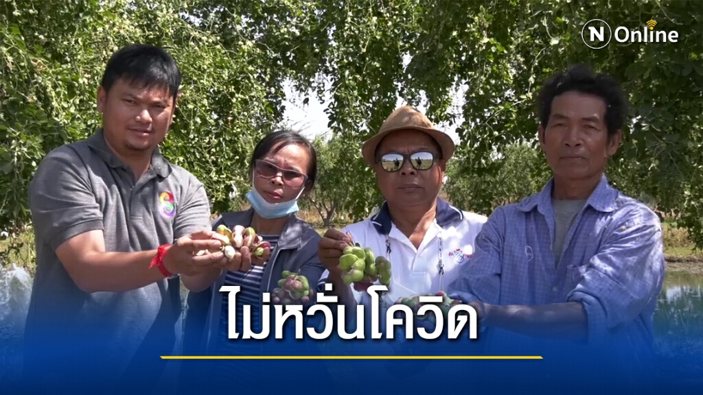 เกษตรกรโคราชปลูกมะขามเทศกว่า 300 รายโกยรายได้ปีละ30ล้าน เกษตรกรโคราชปลูกมะขามเทศกว่า 300 รายโกยรายได้ปีละ30ล้าน