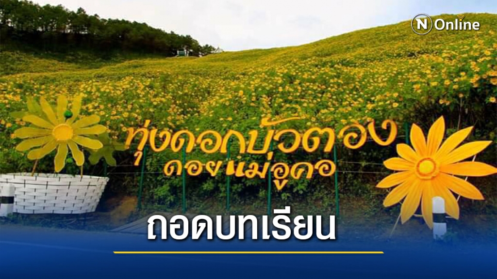 ถอดบทเรียนทุ่งบัวตองเที่ยวให้นานขึ้น