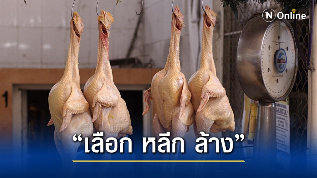 กรมควบคุมโรค แนะวิธีเลือกซื้อสัตว์ปีกให้ปลอดภัยในช่วงเทศกาลตรุษจีน โดยยึดหลัก "เลือก หลีก ล้าง"