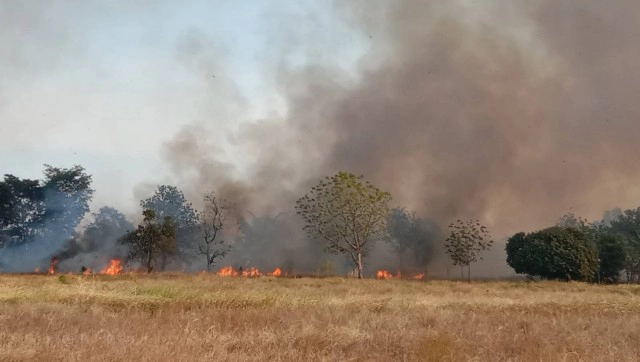 ชาวบ้านขนน้ำดับไฟวุ่น!ชาวนาลักจุดไฟเผาตอซังข้าว