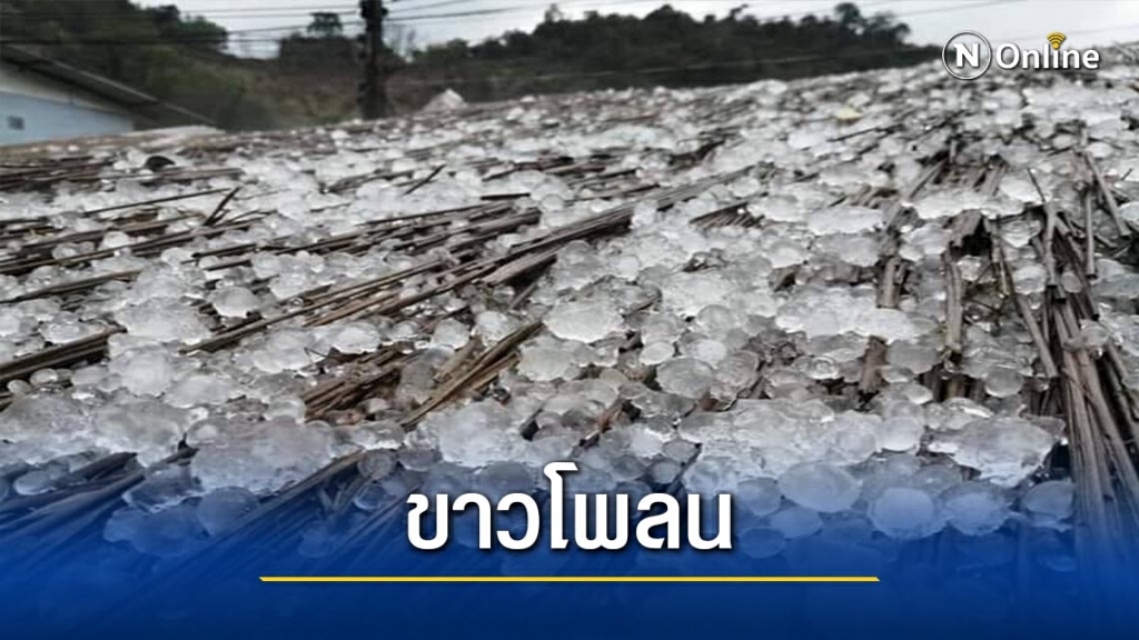 ลูกเห็บตก"ดอยช้างมูบ"จนขาวโพลน ลูกเห็บตก"ดอยช้างมูบ"จนขาวโพลน
