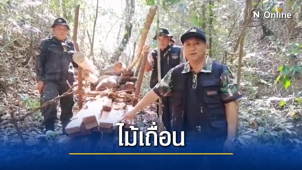 ยึด"ไม้ก่อ"แปรรูปกลางป่า ยึด"ไม้ก่อ"แปรรูปกลางป่า