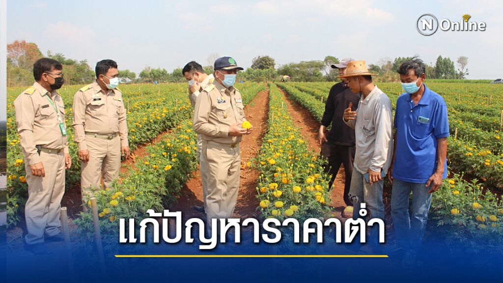 เตรียมเสนอปลดล็อกจัดกิจกรรมทางศาสนา กระตุ้นใช้ดาวเรือง