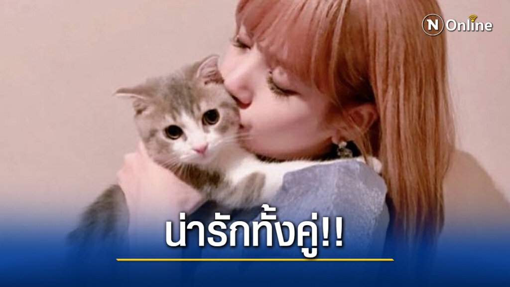 สาวกทั่วโลกร่วมอวยพรวันเกิดให้ 'ลีโอ' เหมียวน้อยแสนรักของ 'ลิซ่า' BLACKPINK สาวกทั่วโลกร่วมอวยพรวันเกิดให้ 'ลีโอ' เหมียวน้อยแสนรักของ 'ลิซ่า' BLACKPINK