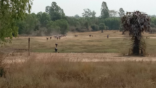 อ่างเก็บน้ำห้วยบงงดจ่ายน้ำให้เกษตรกร สำรองไว้ใช้หน้าแล้ง