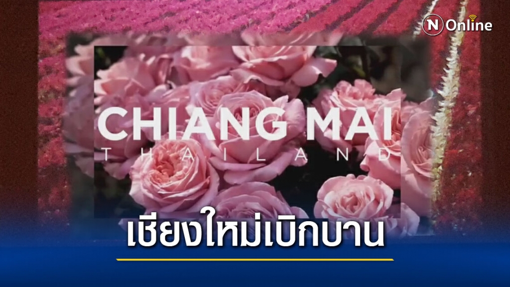 "เชียงใหม่เบิกบาน"ฟื้นท่องเที่ยว