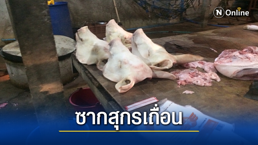 ทลายแหล่งจำหน่ายซากสุกรเถื่อน สร้างความมั่นใจผู้บริโภคตรุษจีน