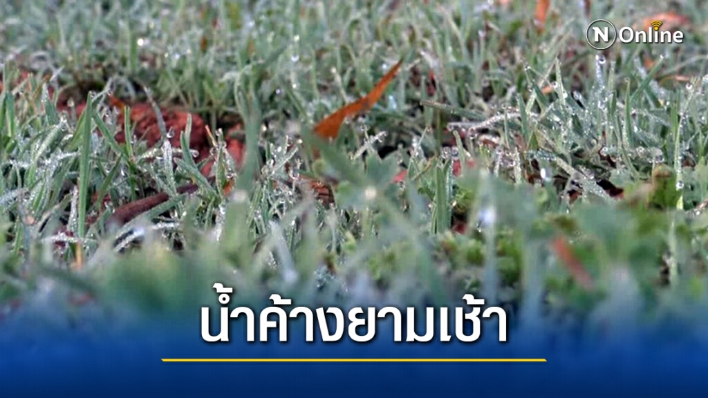 บึงกาฬอุณหภูมิลดฮวบ หมอก-น้ำค้างยามเช้าขาวเต็มทุ่ง บึงกาฬอุณหภูมิลดฮวบ หมอก-น้ำค้างยามเช้าขาวเต็มทุ่ง