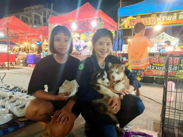 สาวรีวิวเลี้ยงไซบีเรียน สุดฮา! โปรดอ่านให้ละเอียดที่สุดก่อนตัดสินใจเลี้ยง