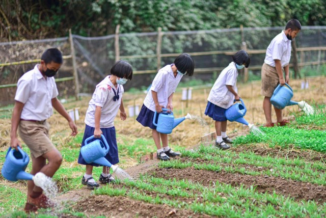 ครูทหารพันธุ์ดี-นร.ปลูกผักสวนครัวเป็นอาหารกลางวัน