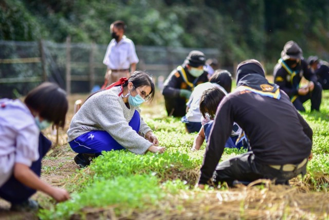 ครูทหารพันธุ์ดี-นร.ปลูกผักสวนครัวเป็นอาหารกลางวัน