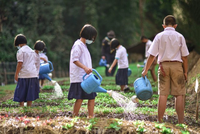ครูทหารพันธุ์ดี-นร.ปลูกผักสวนครัวเป็นอาหารกลางวัน