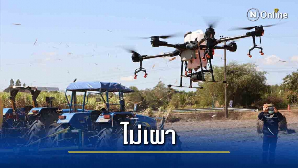 กาฬสินธุ์รณรงค์ไม่เผาอ้อยลดฝุ่นละอองขนาดเล็กPM2.5