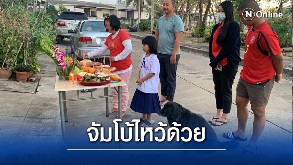 ตรุษจีนแห่ไหว้เจ้าเยอะ จัมโบ้สุนัขแสนรู้ขอไหว้ด้วย