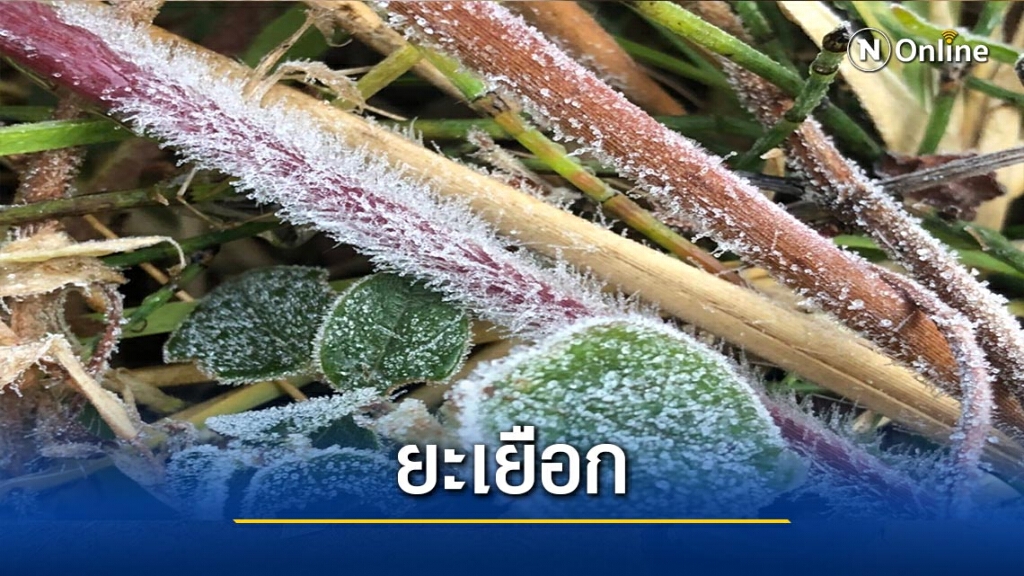 ยอดดอย"อินทนนท์" 0 องศาฯ ยอดดอย"อินทนนท์" 0 องศาฯ