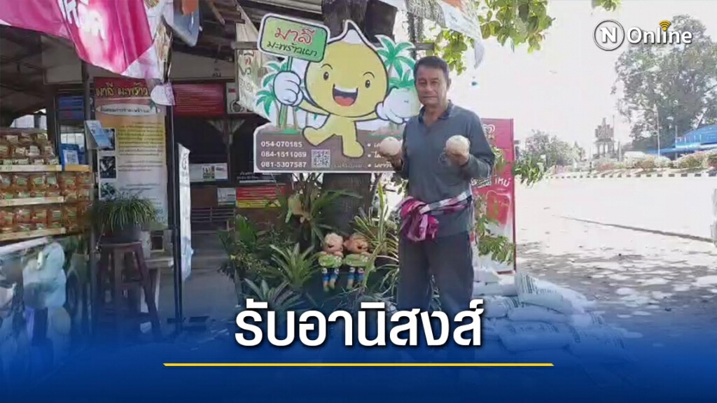 รับอานิสงส์ "ดื่มแล้วฟิต"ยอดขายมะพร้าวเผาพุ่ง รับอานิสงส์ "ดื่มแล้วฟิต"ยอดขายมะพร้าวเผาพุ่ง