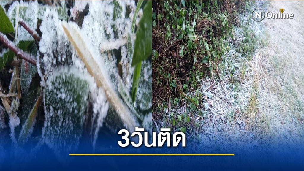 "เหมยขาบ"โผล่"อินทนนท์"ติดต่อกันเป็นวันที่3 "เหมยขาบ"โผล่"อินทนนท์"ติดต่อกันเป็นวันที่3