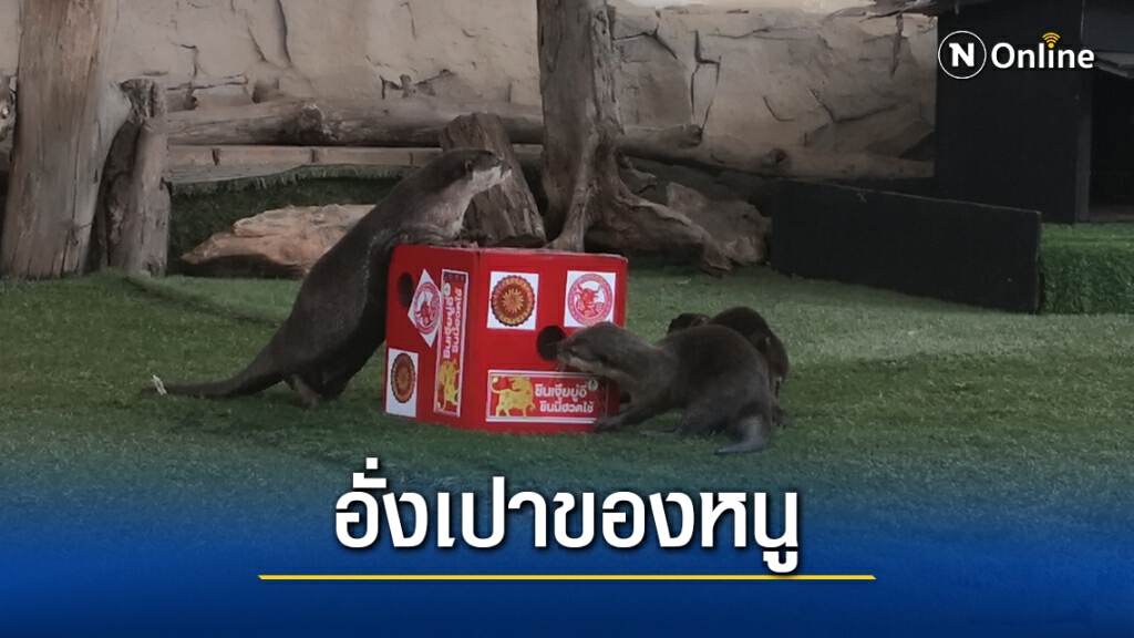 สวนสัตว์ขอนแก่นจัดเที่ยววันตรุษจีนมอบอั่งเปาอาหารพิเศษให้น้อง สวนสัตว์ขอนแก่นจัดเที่ยววันตรุษจีนมอบอั่งเปาอาหารพิเศษให้น้อง