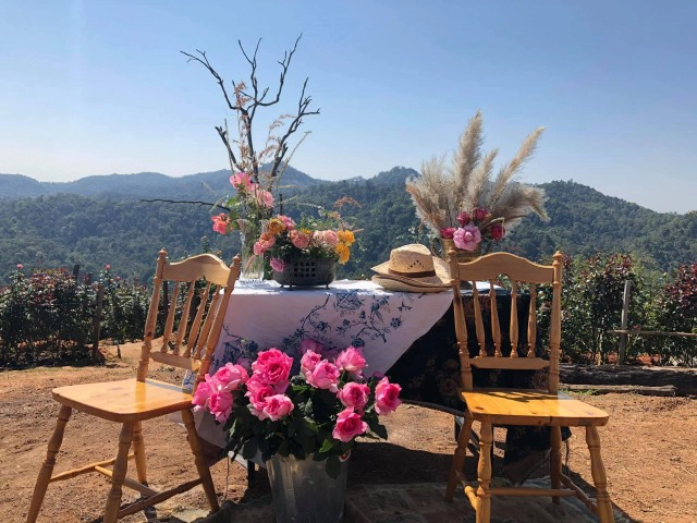 เชียงใหม่ชวนเที่ยวสวนกุหลาบรับวาเลนไทน์