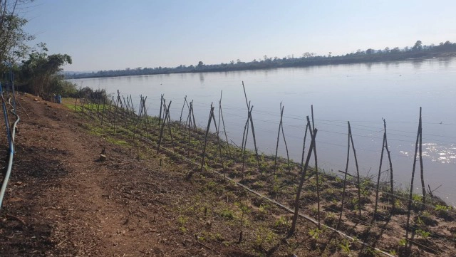 ชาวบ้านพบพญานาคโผล่-กลางแม่น้ำโขง