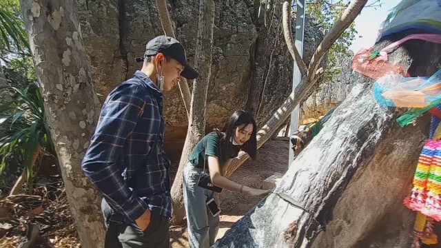 วันหยุดตรุษจีนคอหวยแห่ขอโชควัดภูตะเภาทอง