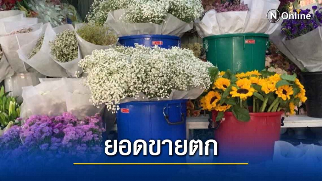 วาเลนไทน์โคราชไม่คึกคัก ยอดขายดอกไม้ตก วาเลนไทน์โคราชไม่คึกคัก ยอดขายดอกไม้ตก