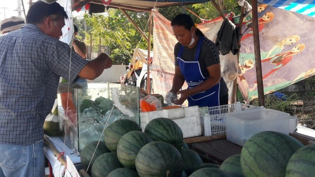 ยืนราคาเดียว!แม่ค้ามะพร้าวโคราช ขายมะพร้าวราคาถูก ทุกลูก 20 บาท