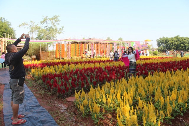 ชาวโคราชตักบาตรน้ำผึ้งรับวาไลนไทน์