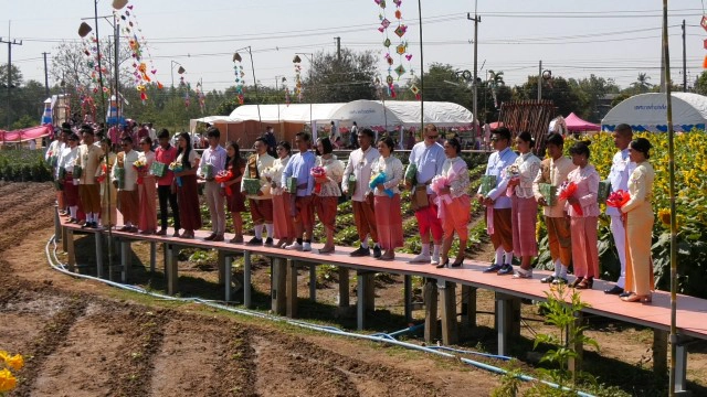 คู่รักจดทะเบียนสมรสกลางทุ่งทานตะวัน 22 คู่