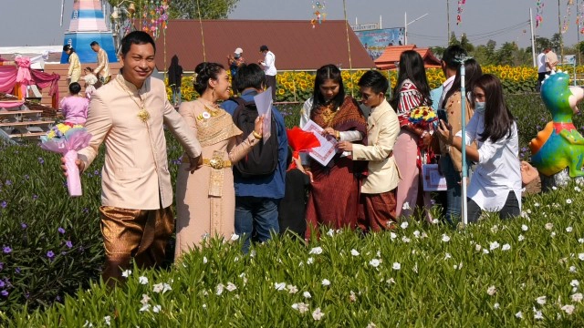 คู่รักจดทะเบียนสมรสกลางทุ่งทานตะวัน 22 คู่