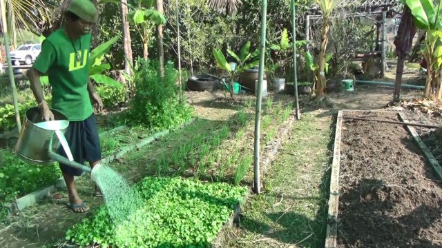 งดปล่อยน้ำทำนาปรังหวั่นวิกฤตแล้งซ้ำรอย