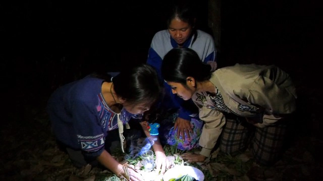 ตื่นตาตื่นใจ พญาบึ้งแม่ลูกอ่อนให้เลขเด็ดงวดนี้