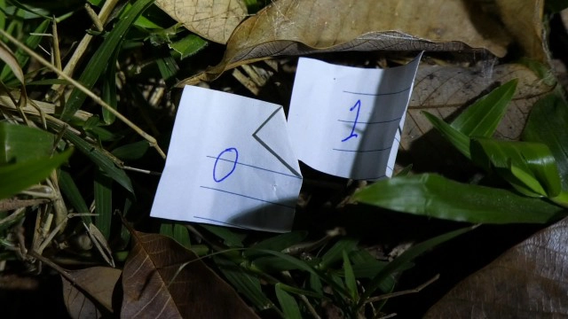 ตื่นตาตื่นใจ พญาบึ้งแม่ลูกอ่อนให้เลขเด็ดงวดนี้