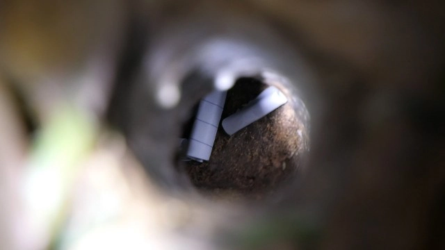 ตื่นตาตื่นใจ พญาบึ้งแม่ลูกอ่อนให้เลขเด็ดงวดนี้