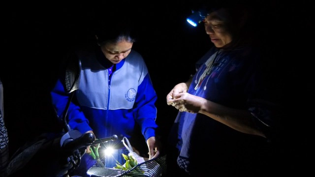 ตื่นตาตื่นใจ พญาบึ้งแม่ลูกอ่อนให้เลขเด็ดงวดนี้