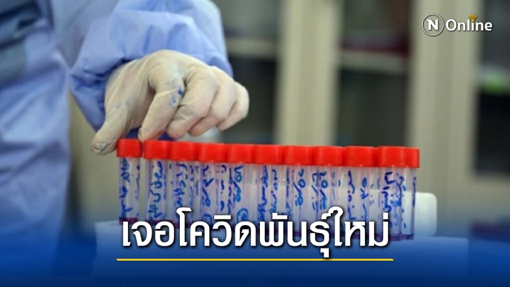 ‘อิรัก’ พบโควิด-19 ชนิดกลายพันธุ์ใหม่ ‘อิรัก’ พบโควิด-19 ชนิดกลายพันธุ์ใหม่