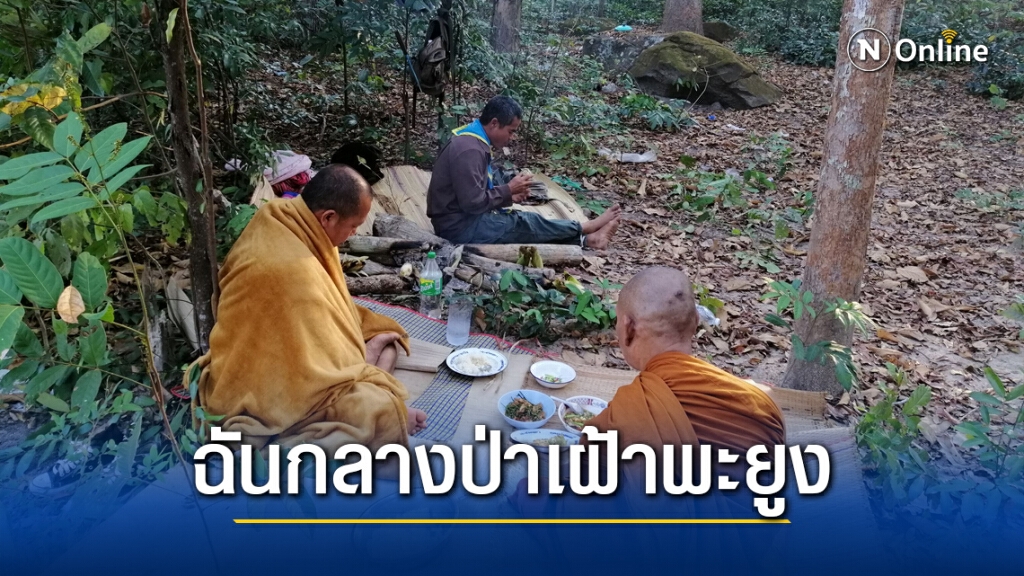 พระสงฆ์และเจ้าหน้าที่นอนเฝ้าไม้พะยูงของกลาง