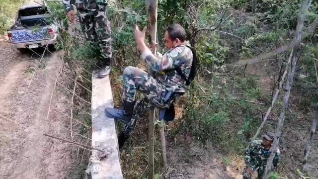 พระสงฆ์และเจ้าหน้าที่นอนเฝ้าไม้พะยูงของกลาง