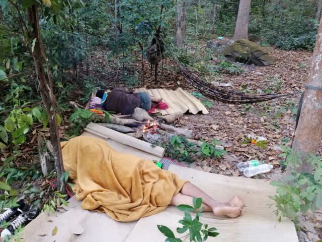 พระสงฆ์และเจ้าหน้าที่นอนเฝ้าไม้พะยูงของกลาง