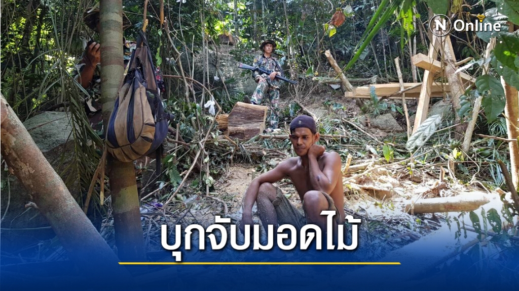 วินาทีบุกจับกุมลักลอบตัดไม้คาเครื่องเลื่อย วินาทีบุกจับกุมลักลอบตัดไม้คาเครื่องเลื่อย