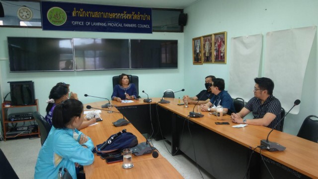ร้านอาหาร-กาแฟ-ตื่นตัว"ใบกัญชา"
