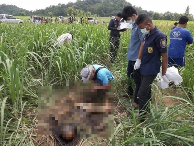 รวบแล้ว!! "ผอ.ตุ๊" ผู้ต้องหาคดีสังหาร "น้องหลิว" ฝังอำพรางร่างในไร่อ้อย