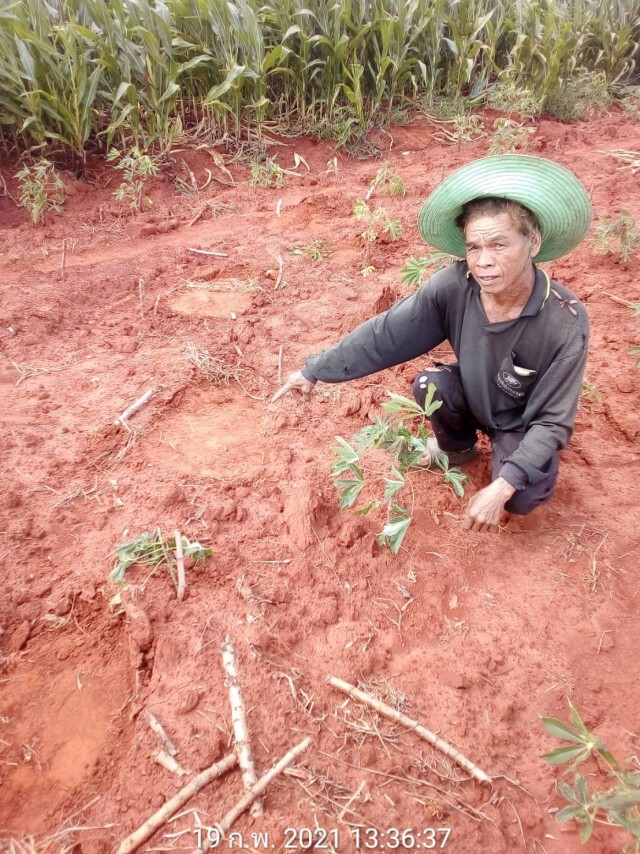 เปิดฉากจุดประทัดผลักดันช้างป่า