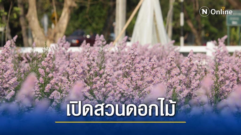 สวนดอกไม้สมาร์ทฟลาวเวอร์ รวมความสวยงามและงานวิจัยไว้ด้วยกัน