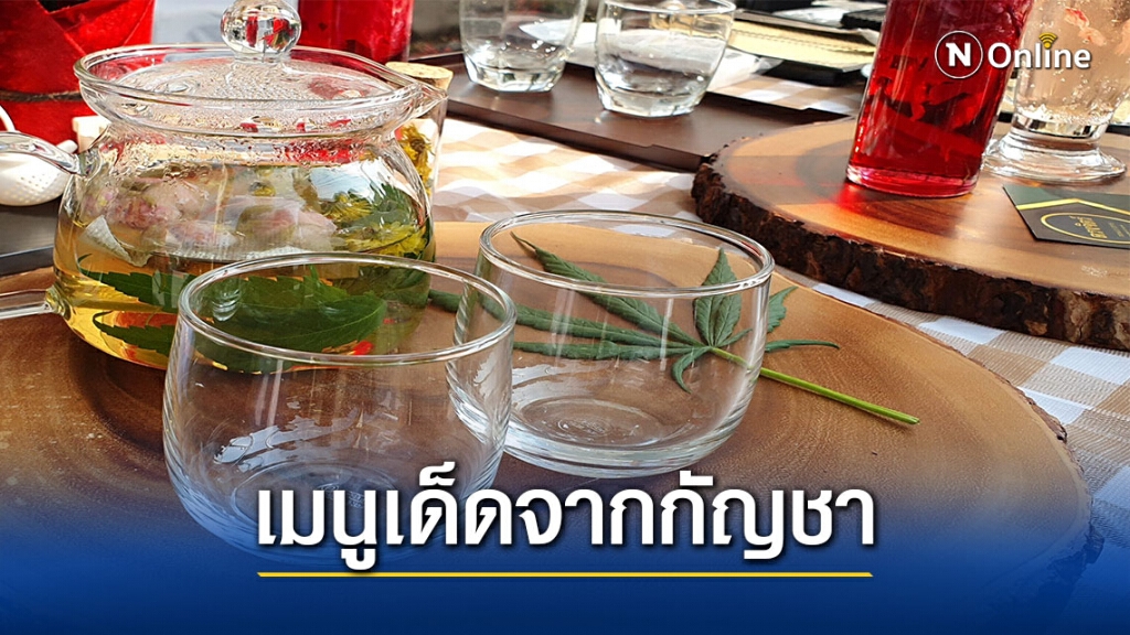 "แม่โจ้" ชวน 45ร้านทำอาหารจากกัญชา