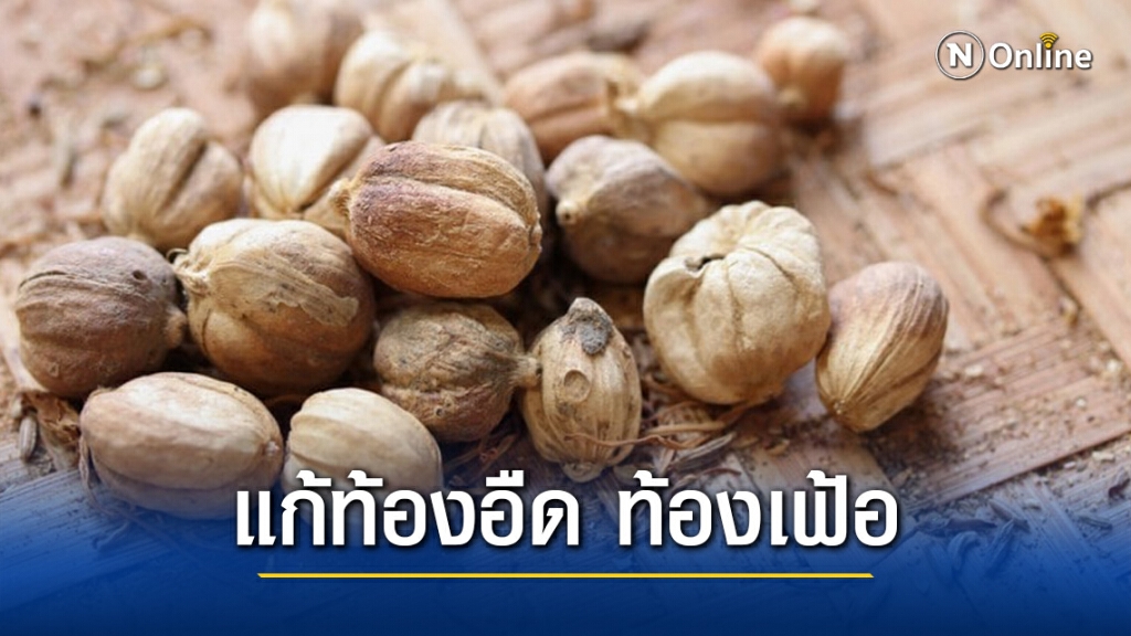 "กระวาน" สมุนไพรพื้นบ้าน แก้ท้องอืด ท้องเฟ้อ "กระวาน" สมุนไพรพื้นบ้าน แก้ท้องอืด ท้องเฟ้อ