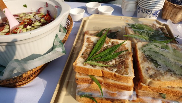 "แม่โจ้" ชวน 45ร้านทำอาหารจากกัญชา