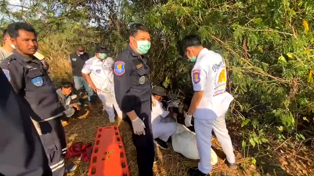 ชายวัย53หาแหย่ไข่มดแดง เจอกระทิงป่าขวิดเสียชีวิต